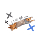 juni ＆ luni 1（個別スタンプ：15）
