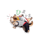 juni ＆ luni 1（個別スタンプ：16）