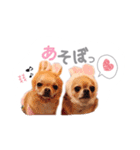 juni ＆ luni 1（個別スタンプ：17）