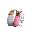 juni ＆ luni 1（個別スタンプ：21）