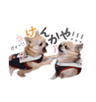 juni ＆ luni 1（個別スタンプ：26）