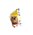 juni ＆ luni 1（個別スタンプ：28）