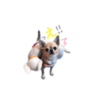 juni ＆ luni 1（個別スタンプ：30）