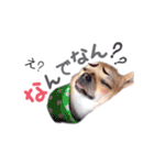 juni ＆ luni 1（個別スタンプ：31）