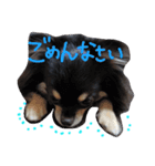 愛犬ベル♡（個別スタンプ：8）