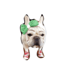 I am frenchie, Call me Oung-Oung.（個別スタンプ：3）