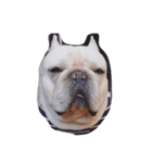 I am frenchie, Call me Oung-Oung.（個別スタンプ：5）