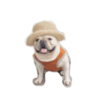 I am frenchie, Call me Oung-Oung.（個別スタンプ：7）