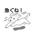 cute little dog .（個別スタンプ：4）