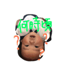 ほだきちでーす★（個別スタンプ：5）