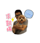 Puppy Milu's daily（個別スタンプ：3）