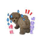 Puppy Milu's daily（個別スタンプ：9）