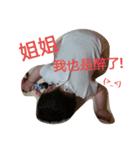 紗奈ちゃん（個別スタンプ：11）