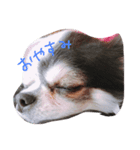 れおくんです（個別スタンプ：4）