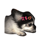 れおくんです（個別スタンプ：6）
