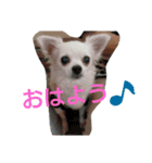 berryberry（個別スタンプ：4）