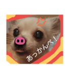 berryberry（個別スタンプ：7）