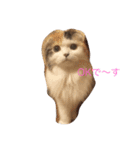 はぴちゃんの日常。（個別スタンプ：4）