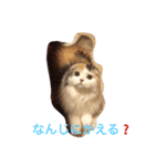 はぴちゃんの日常。（個別スタンプ：7）