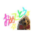 ダックスフンドほくちゃんの日常（個別スタンプ：7）