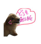 ダックスフンドほくちゃんの日常（個別スタンプ：18）