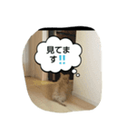 gabugabu-day（個別スタンプ：2）