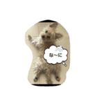 gabugabu-day（個別スタンプ：4）