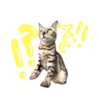 シャロの日常（個別スタンプ：2）