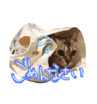 シャロの日常（個別スタンプ：8）