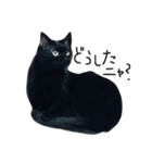 黒猫のシンプルスタンプ（個別スタンプ：3）