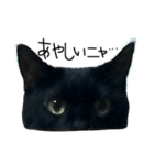 黒猫のシンプルスタンプ（個別スタンプ：5）