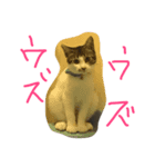 つくねのスタンぷ（個別スタンプ：8）