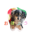 私んち（個別スタンプ：1）