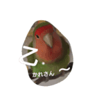私んち（個別スタンプ：2）
