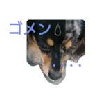 私んち（個別スタンプ：5）