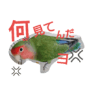 私んち（個別スタンプ：8）