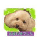 レオの気持ち（個別スタンプ：2）