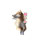実家の愛犬もも（個別スタンプ：6）