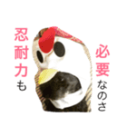 ガブさんのひとこと。（個別スタンプ：5）