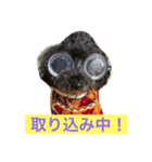 ガブさんのひとこと。（個別スタンプ：8）