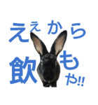 ひじき君の日常（個別スタンプ：4）