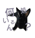 ひじき君の日常（個別スタンプ：11）