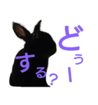 ひじき君の日常（個別スタンプ：14）
