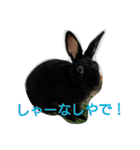 ひじき君の日常（個別スタンプ：22）