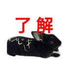 ひじき君の日常（個別スタンプ：24）
