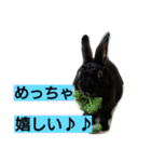 ひじき君の日常（個別スタンプ：26）
