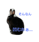ひじき君の日常（個別スタンプ：35）