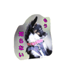 ここあちゃん（個別スタンプ：7）