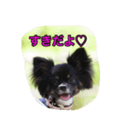 ここあちゃん（個別スタンプ：13）