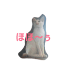 茶色日と白ギャング②（個別スタンプ：17）
